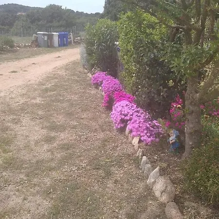 Li Salcuneddi Aglientu